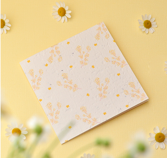 Plantable Gift Cards