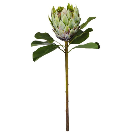 Rogue - Grand Protea Stem - 81x25x25cm