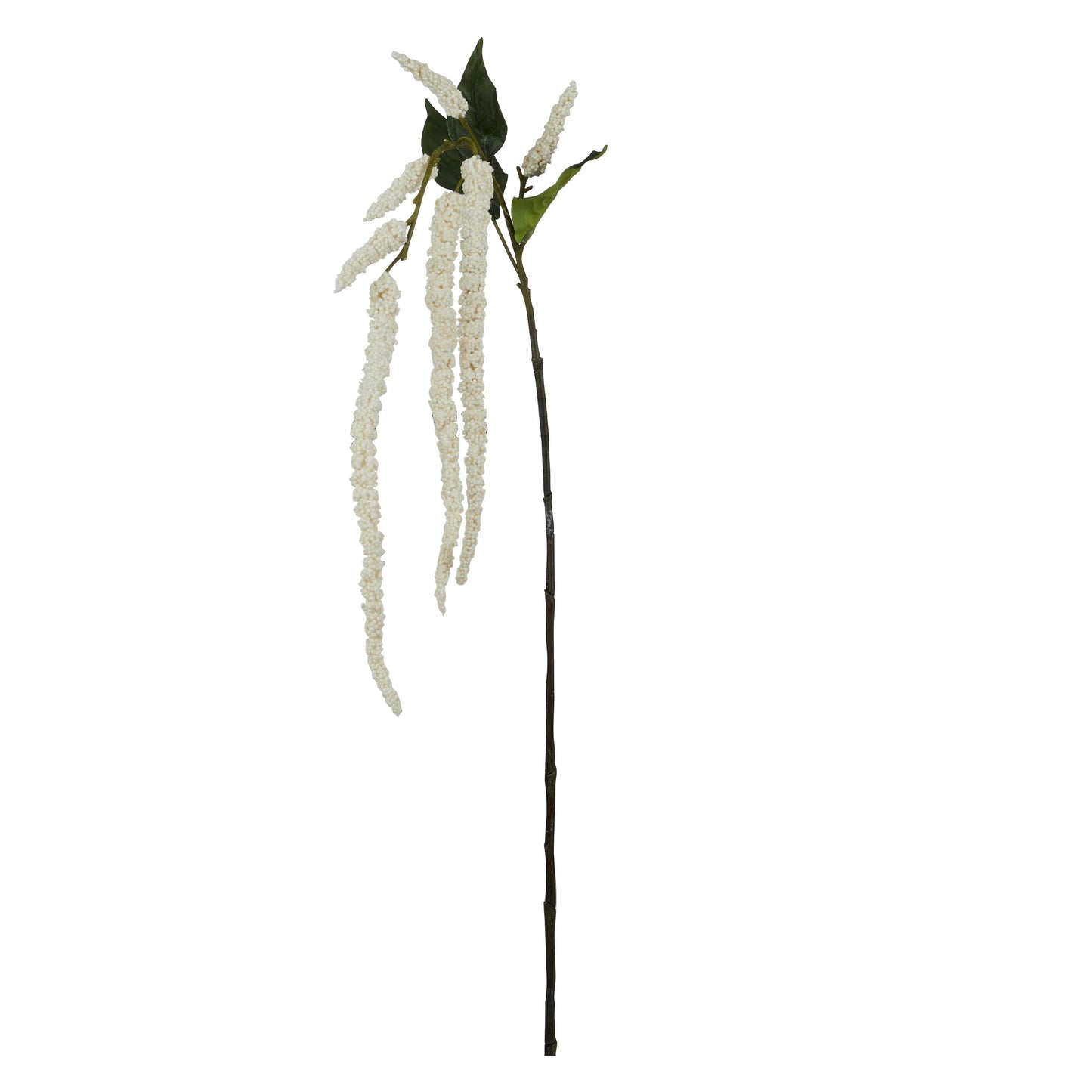 Rogue - Amaranthus Spray