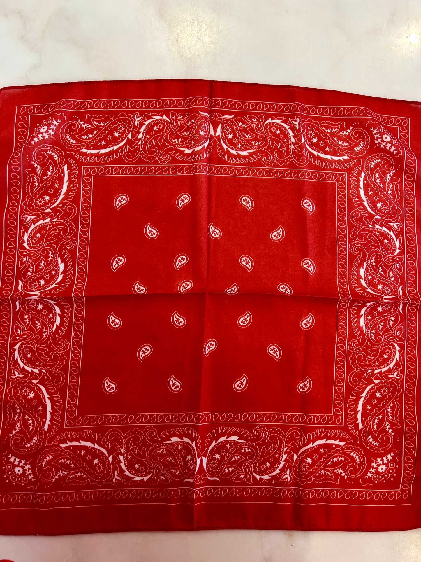 Small Bandana / Bag Scarf