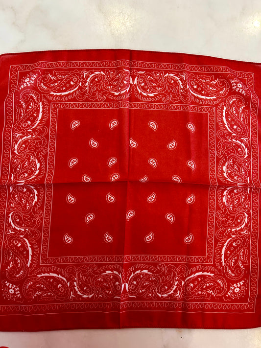 Small Bandana / Bag Scarf