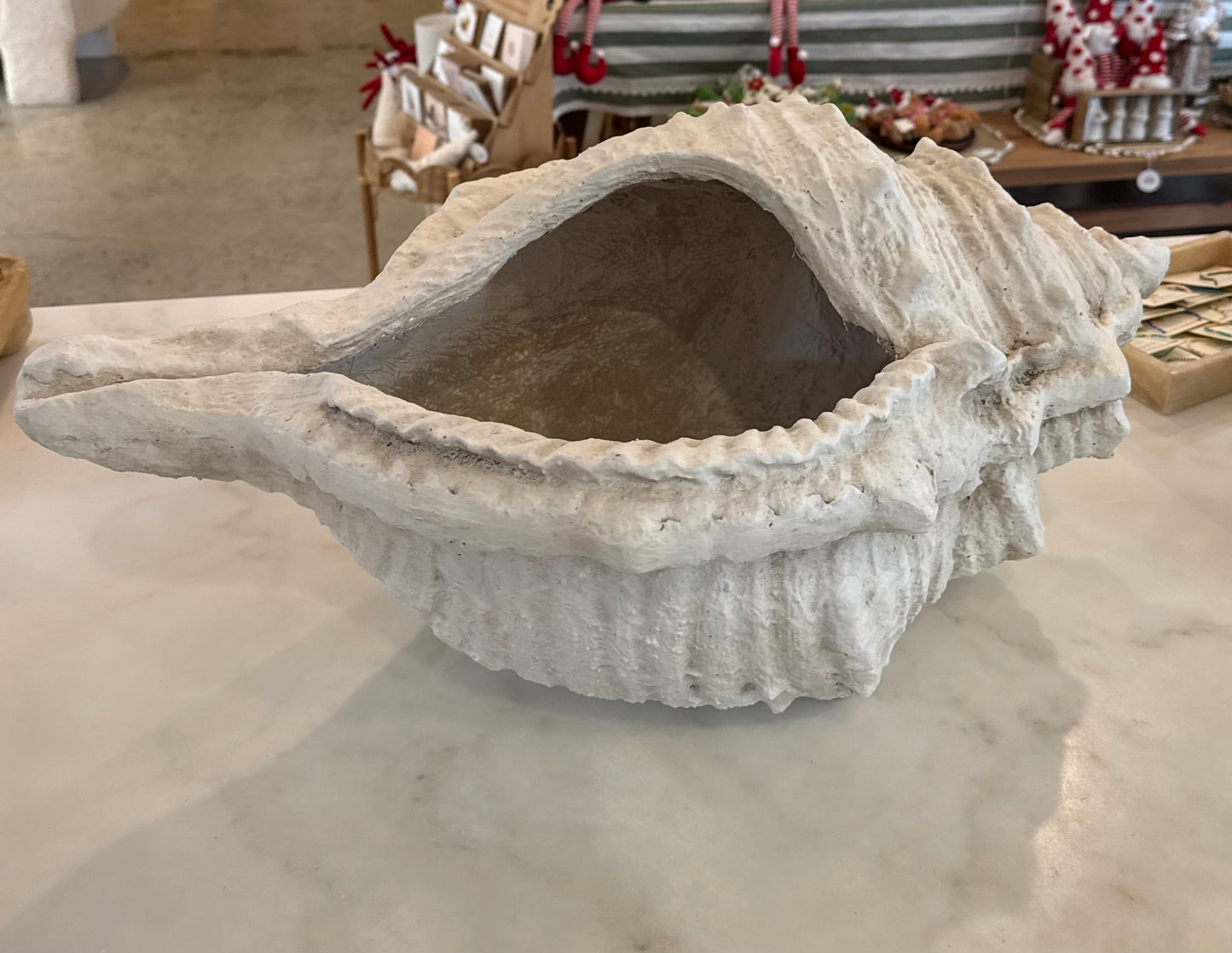 CTC - Conch Shell Pot