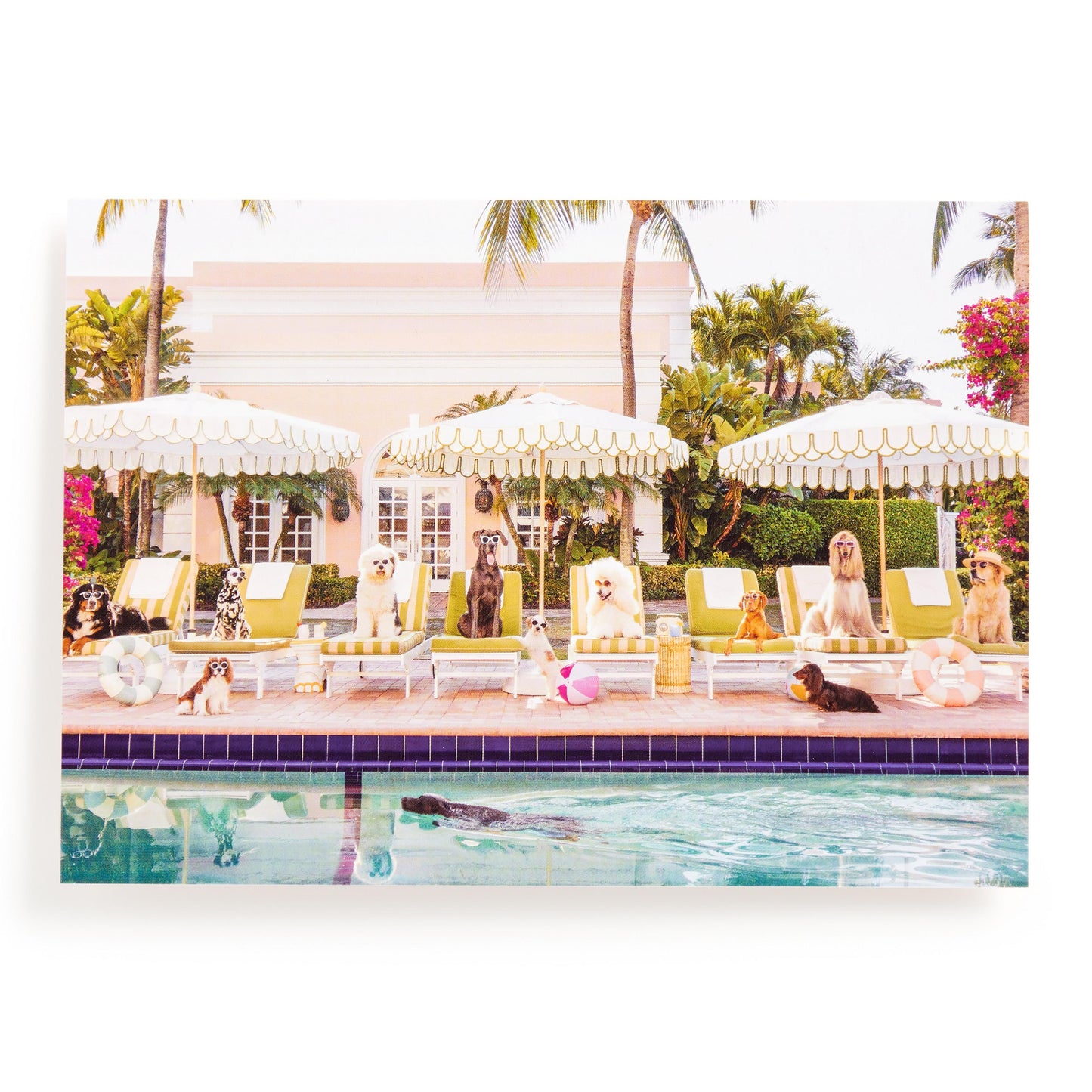 Galison - Gray Malin Palm Beach Pool Day - 1000pc Book Puzzle