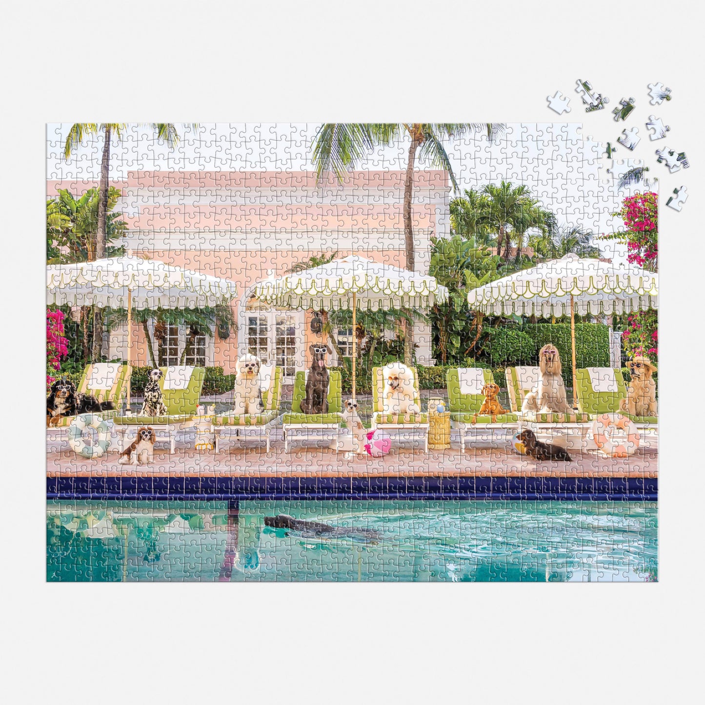 Galison - Gray Malin Palm Beach Pool Day - 1000pc Book Puzzle