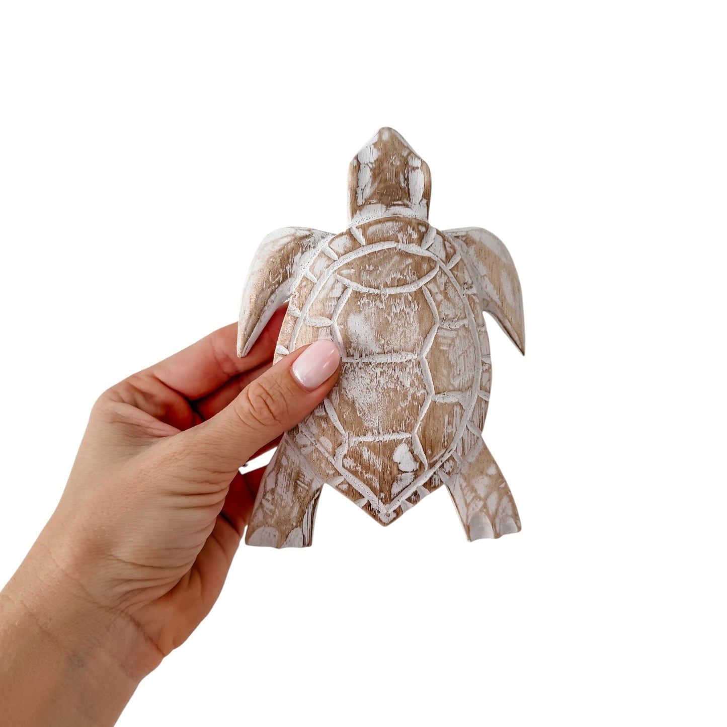 Timber Turtle - 16cm