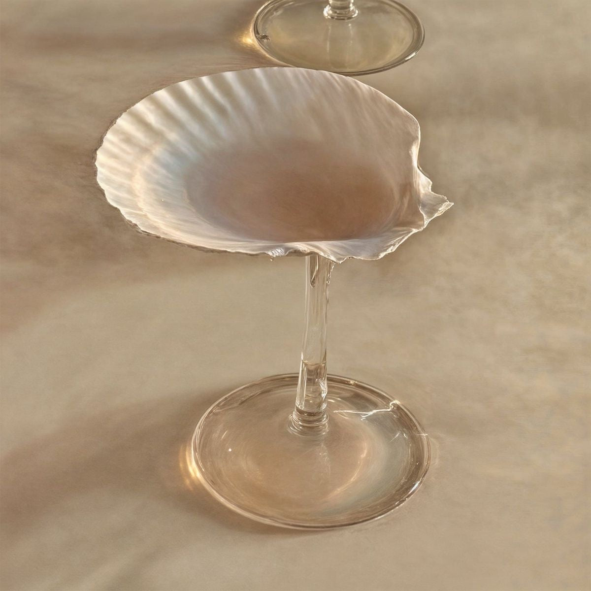 Saltist - Sea Shell Glass Set
