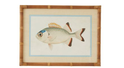 CTC - Nemo Frame Glass Print Series