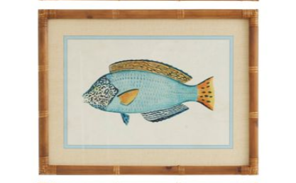 CTC - Nemo Frame Glass Print Series