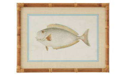 CTC - Nemo Frame Glass Print Series