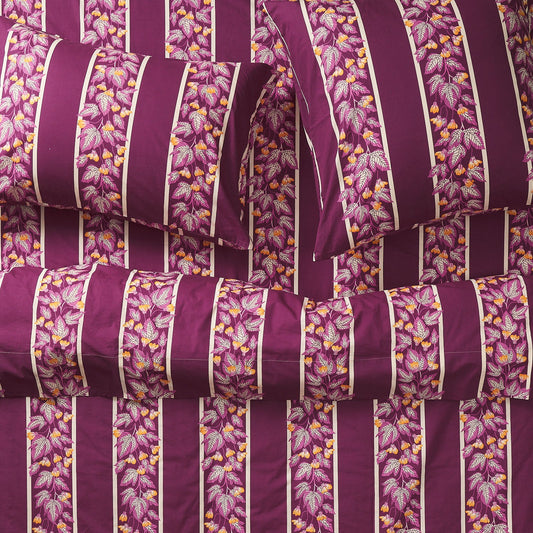 Sage X Clare - Agata Cotton Euro Pillowcase Set - Mulberry