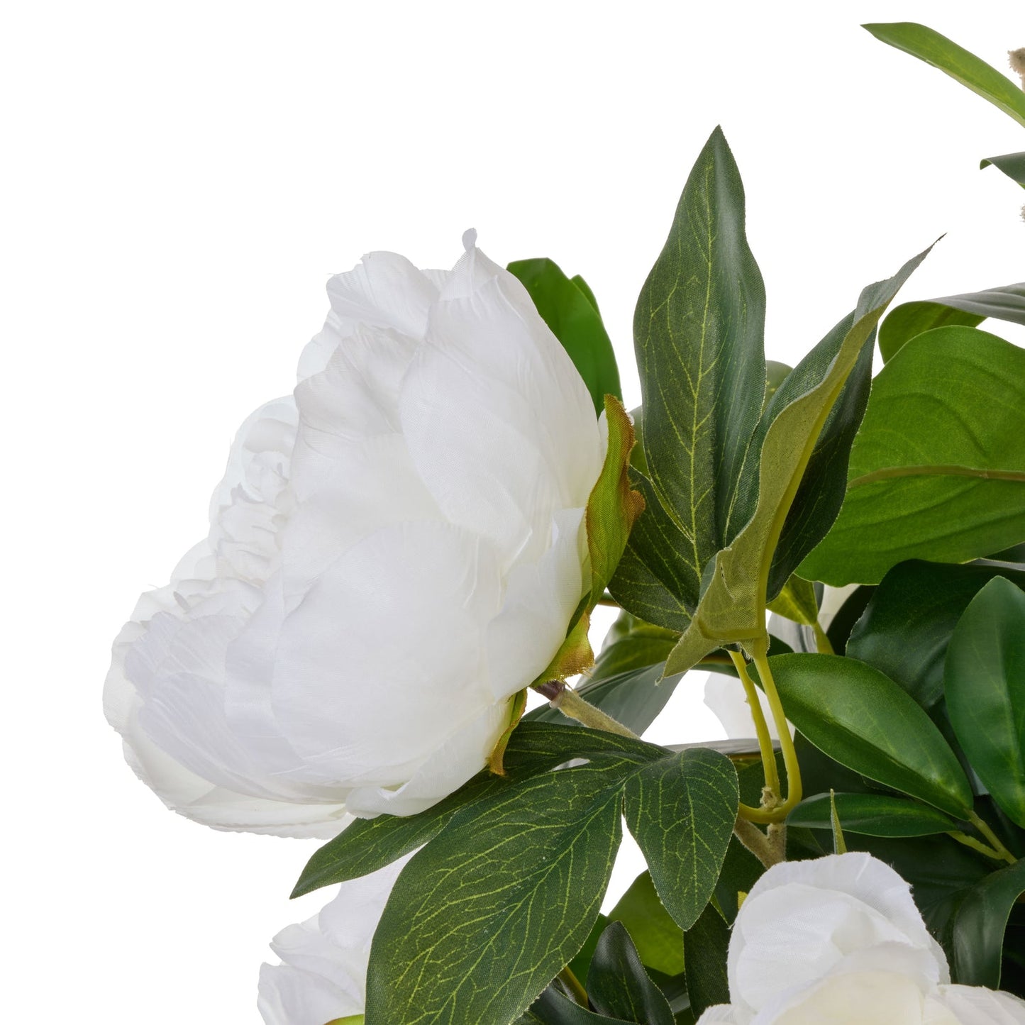 Rogue - Peony Lush Leaf - Alana White & Green