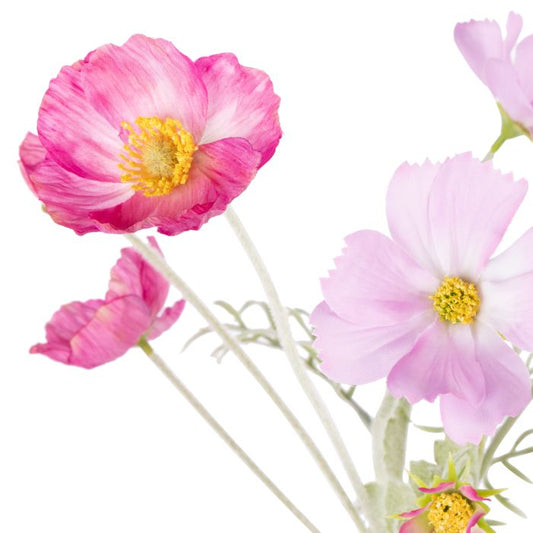 Rogue - Poppy Cosmos Mix - Giselle - Pinks