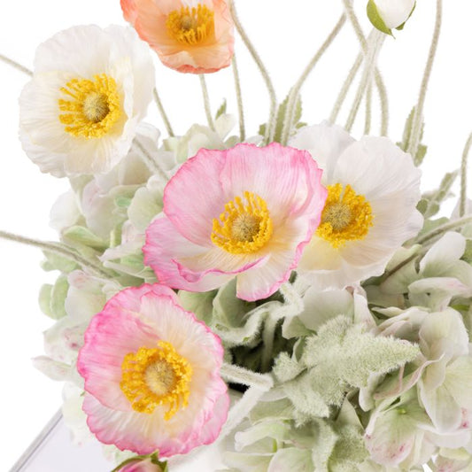 Rogue - Poppy Hydrangea Tub