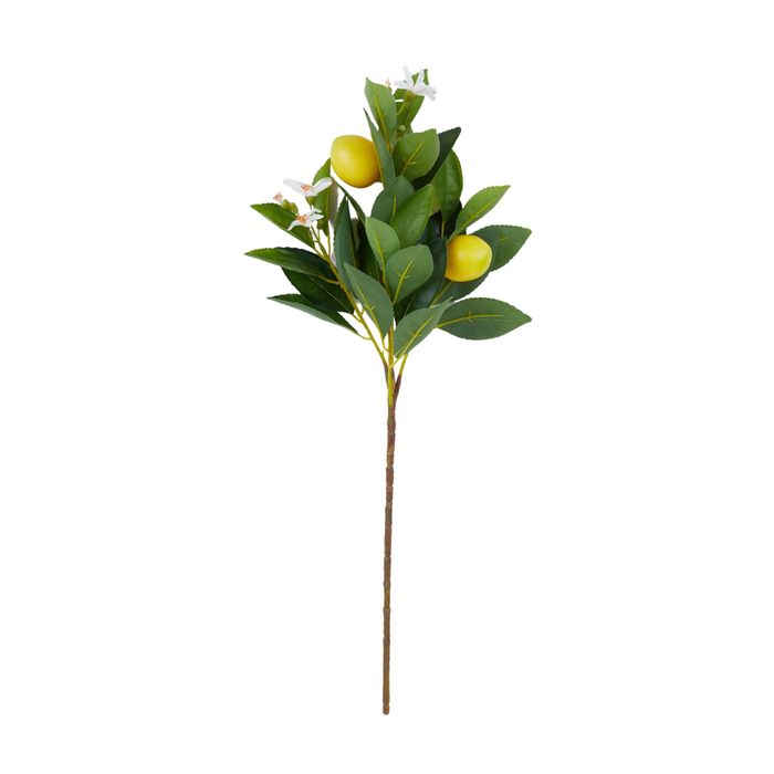 CTC - Lemon Stem