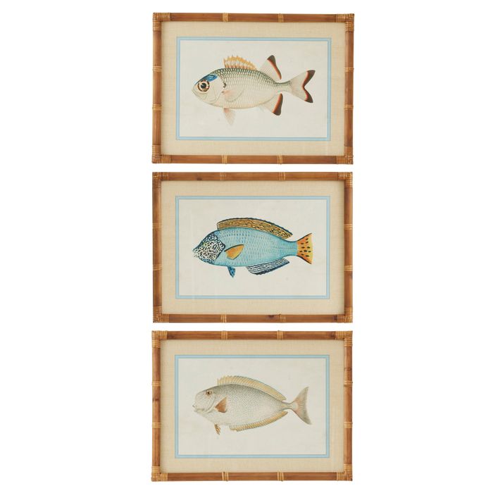 CTC - Nemo Frame Glass Print Series