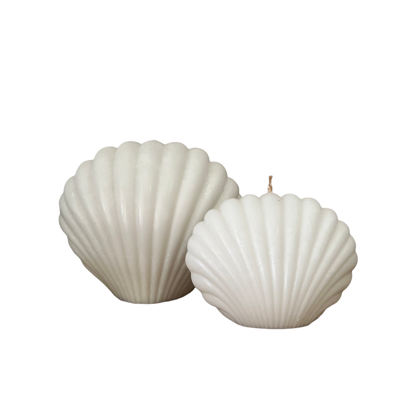 Bahamas Shell Candle