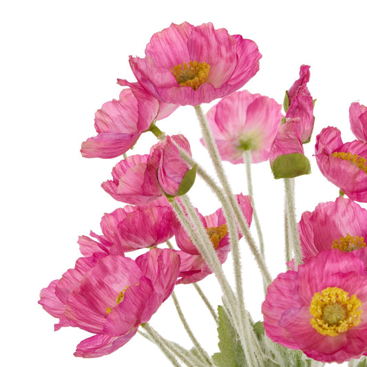 Rogue - Poppy Bunch - Dark Pink