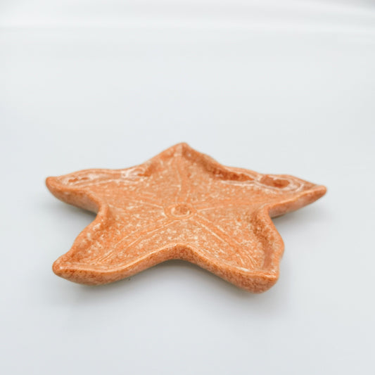 Urban - Reef Star Fish - Trinket Dish