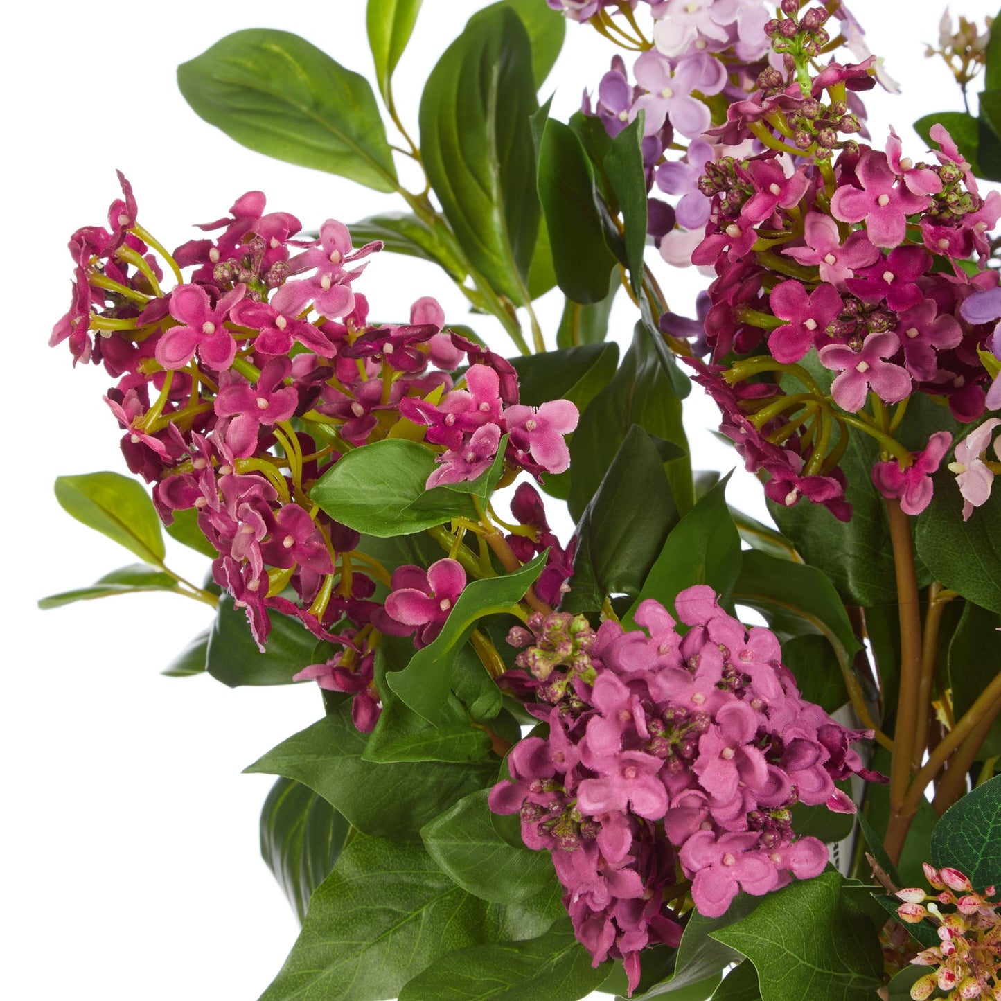 Rogue - Lilac Garden Mix - Claire Vase