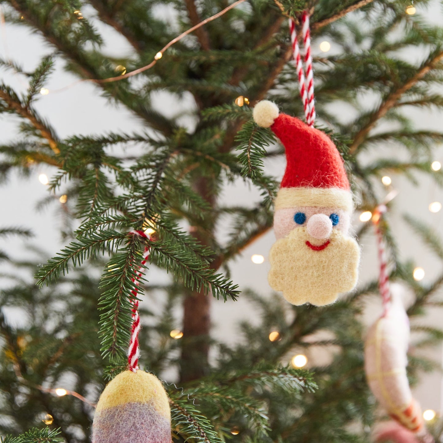 Sage X Clare - Xmas Felt Decorations