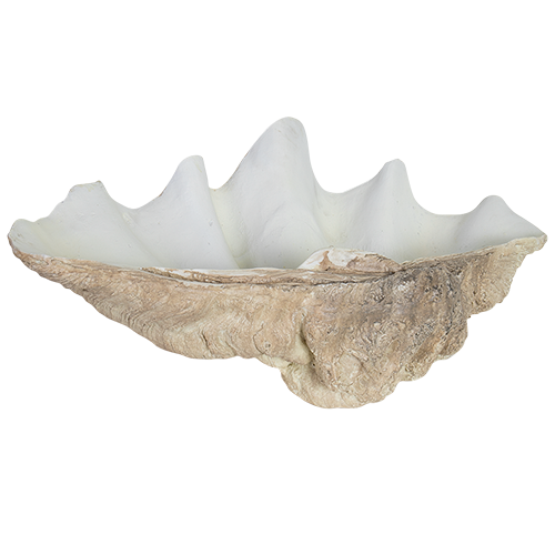 Clamshell Faux - XL