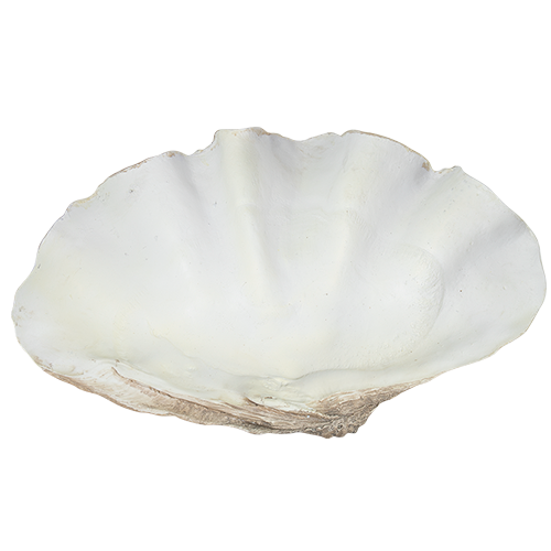 Clamshell Faux - XL