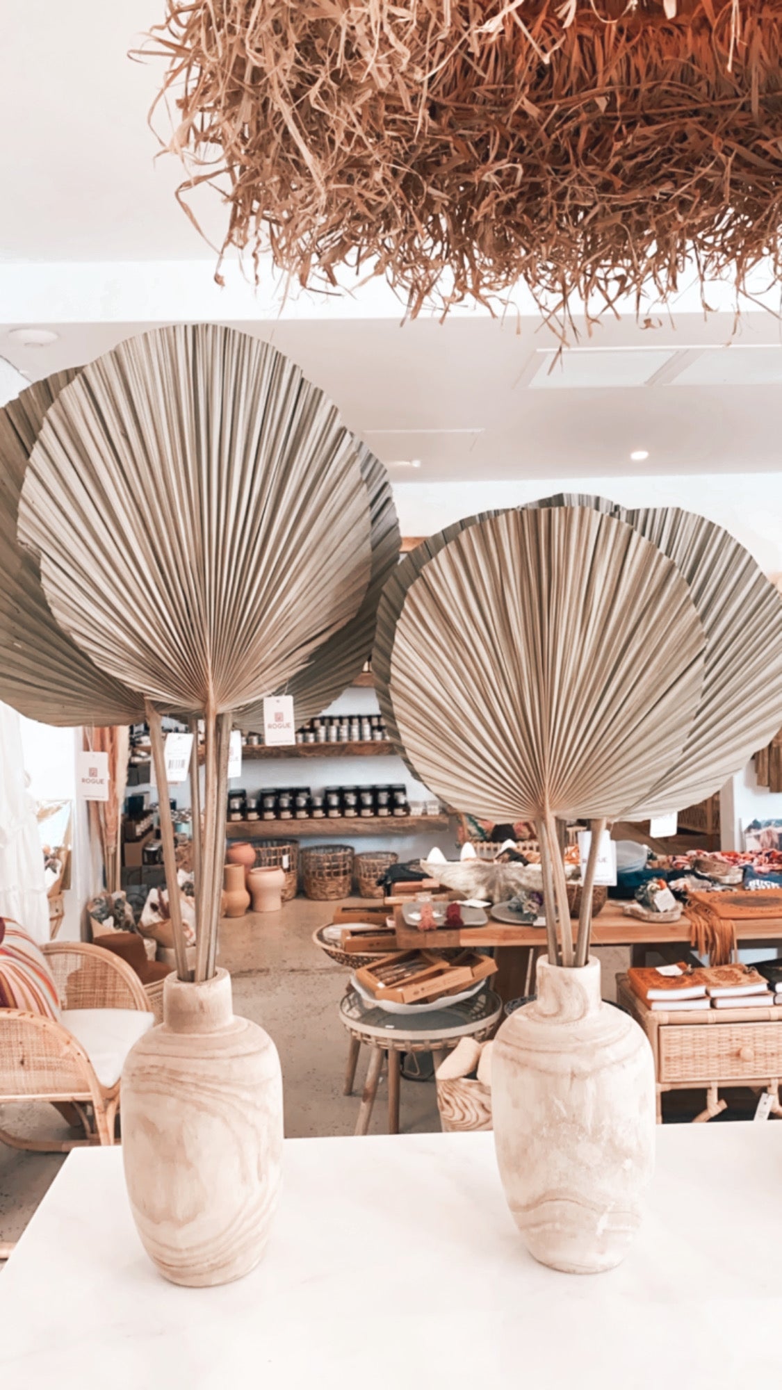 Dried Cut Fan Palm