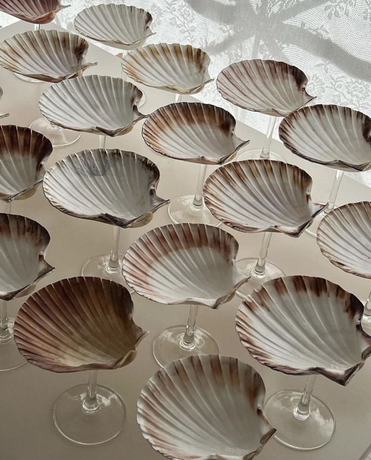 Saltist - Sea Shell Glass Set