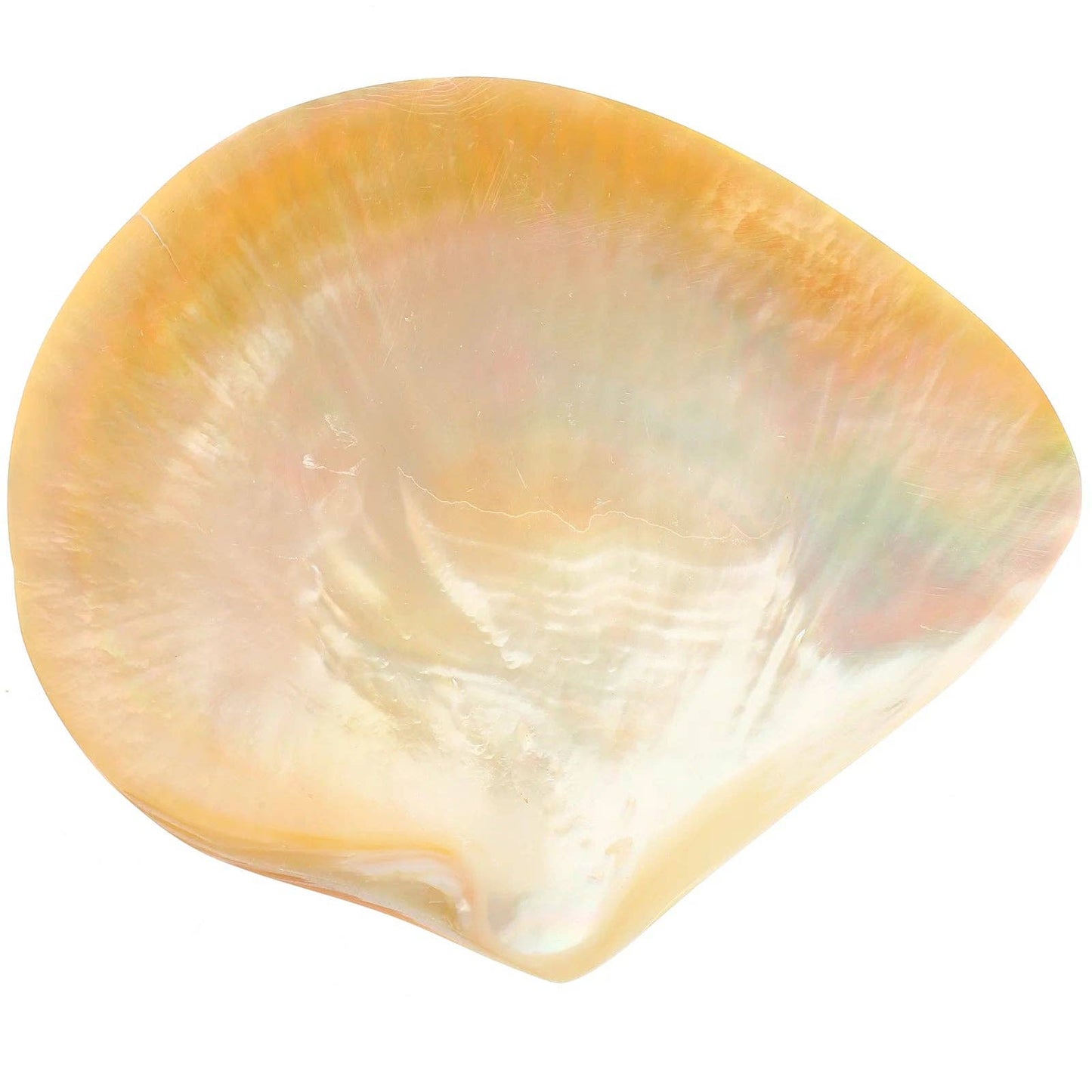 Saltist - The Mother of Pearl Caviar Set