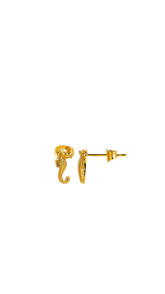 Sea Soul - Seahorse Studs - Gold Earrings