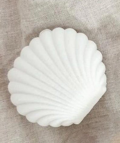 Sea Soul - Clam Jewellery Gift Box