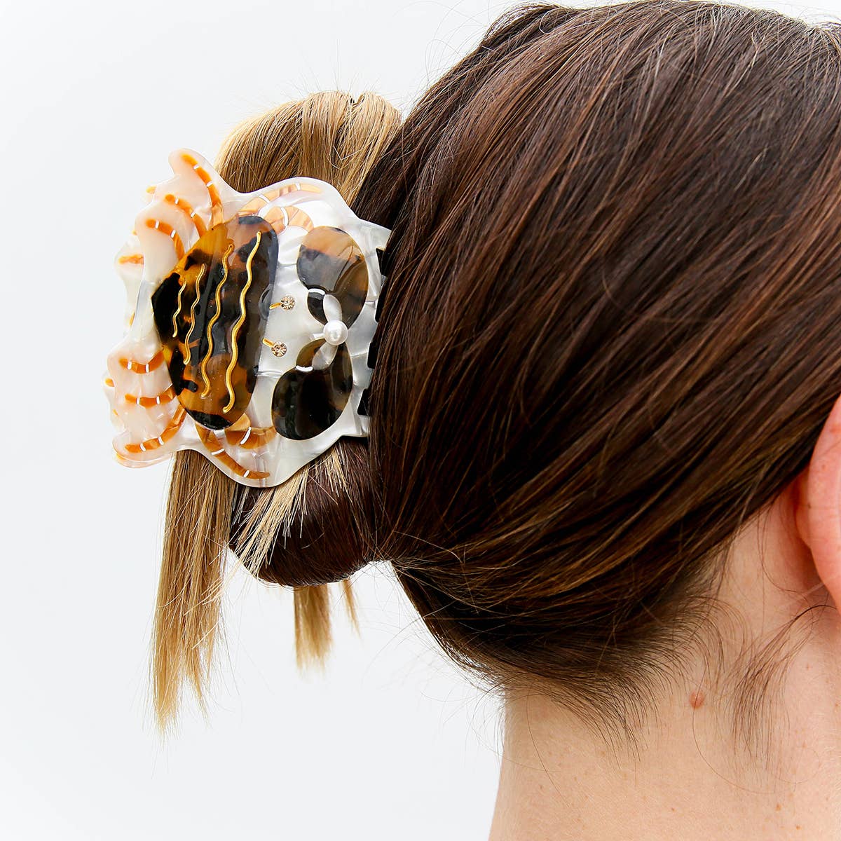 Tortoise Crab Claw