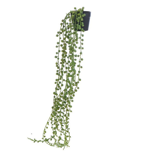 Rogue - Hanging Faux Succulants