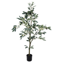 Load image into Gallery viewer, Potted Olive Tree - 122cm
