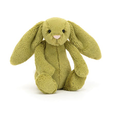 Load image into Gallery viewer, Jellycat - Bashful Moss Bunny - Small
