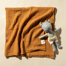 Load image into Gallery viewer, Saarde - Enes Crinkle Baby Blanket

