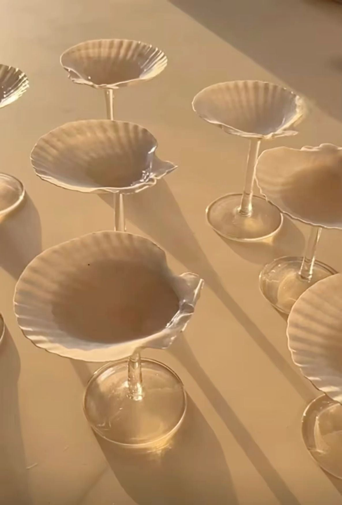 Saltist - Sea Shell Glass Set