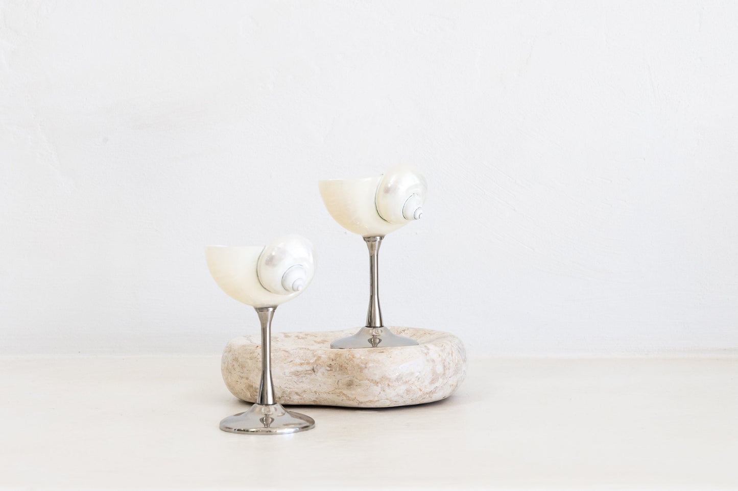 Saltist - Conch Shell Glass Set