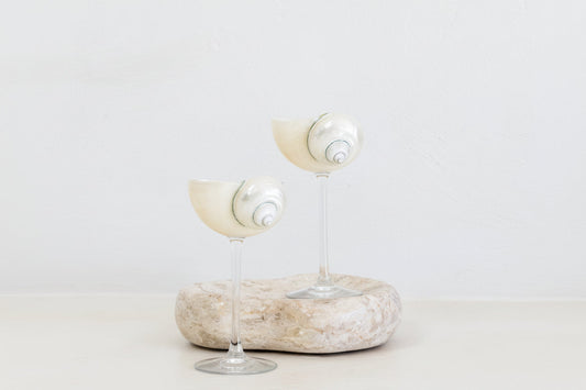 Saltist - Conch Shell Glass Set