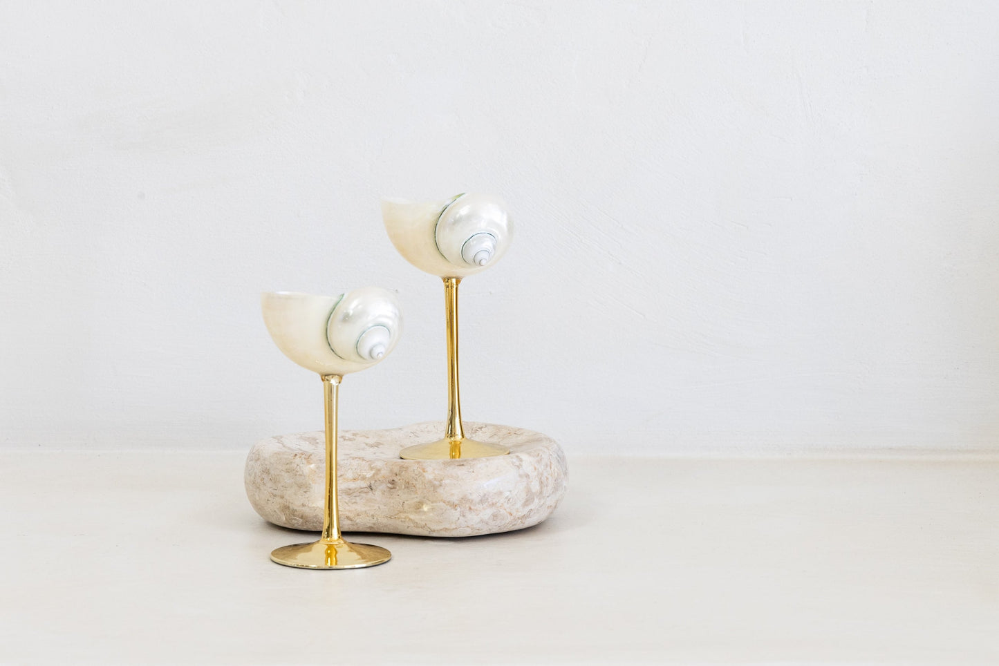 Saltist - Conch Shell Glass Set