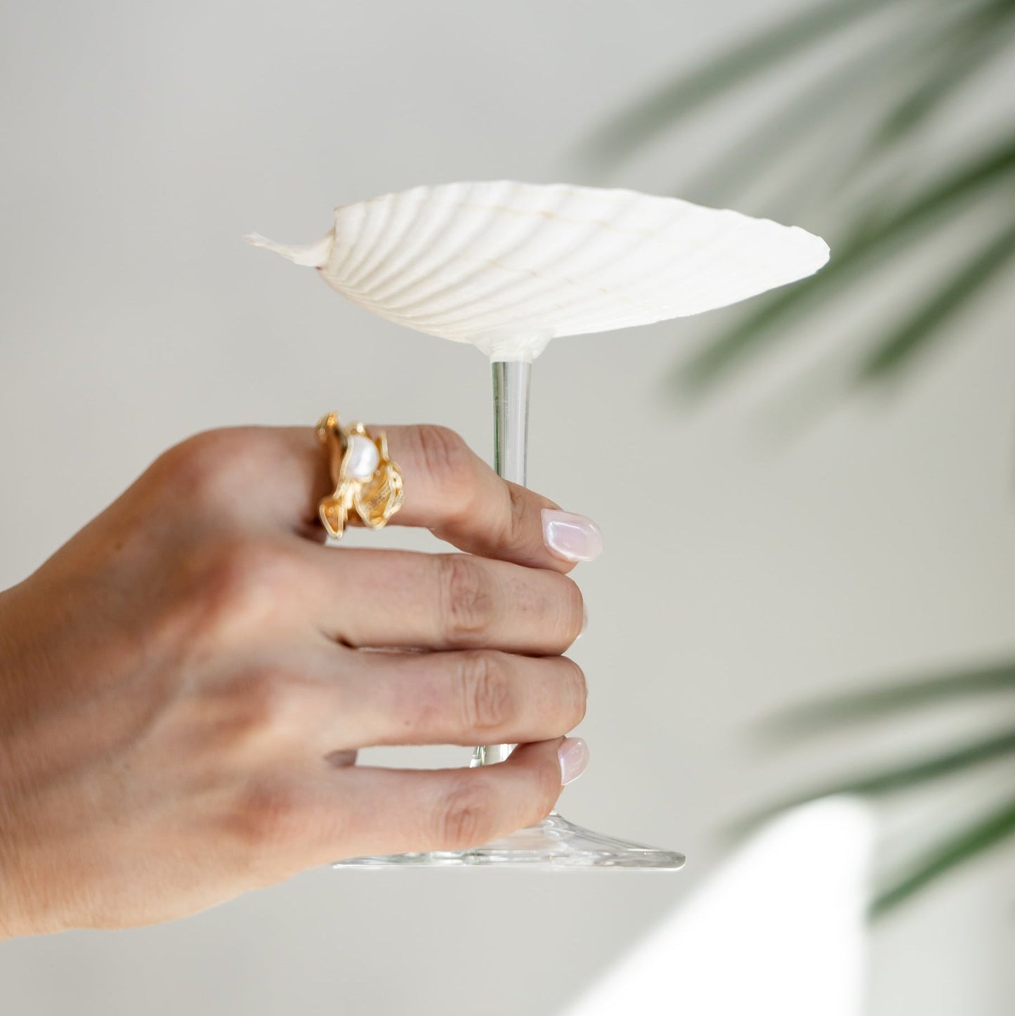 Saltist - Sea Shell Glass Set