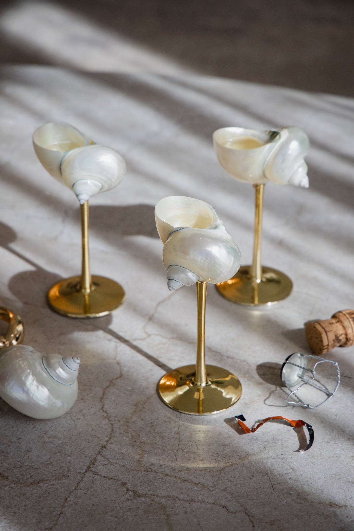 Saltist - Conch Shell Glass Set