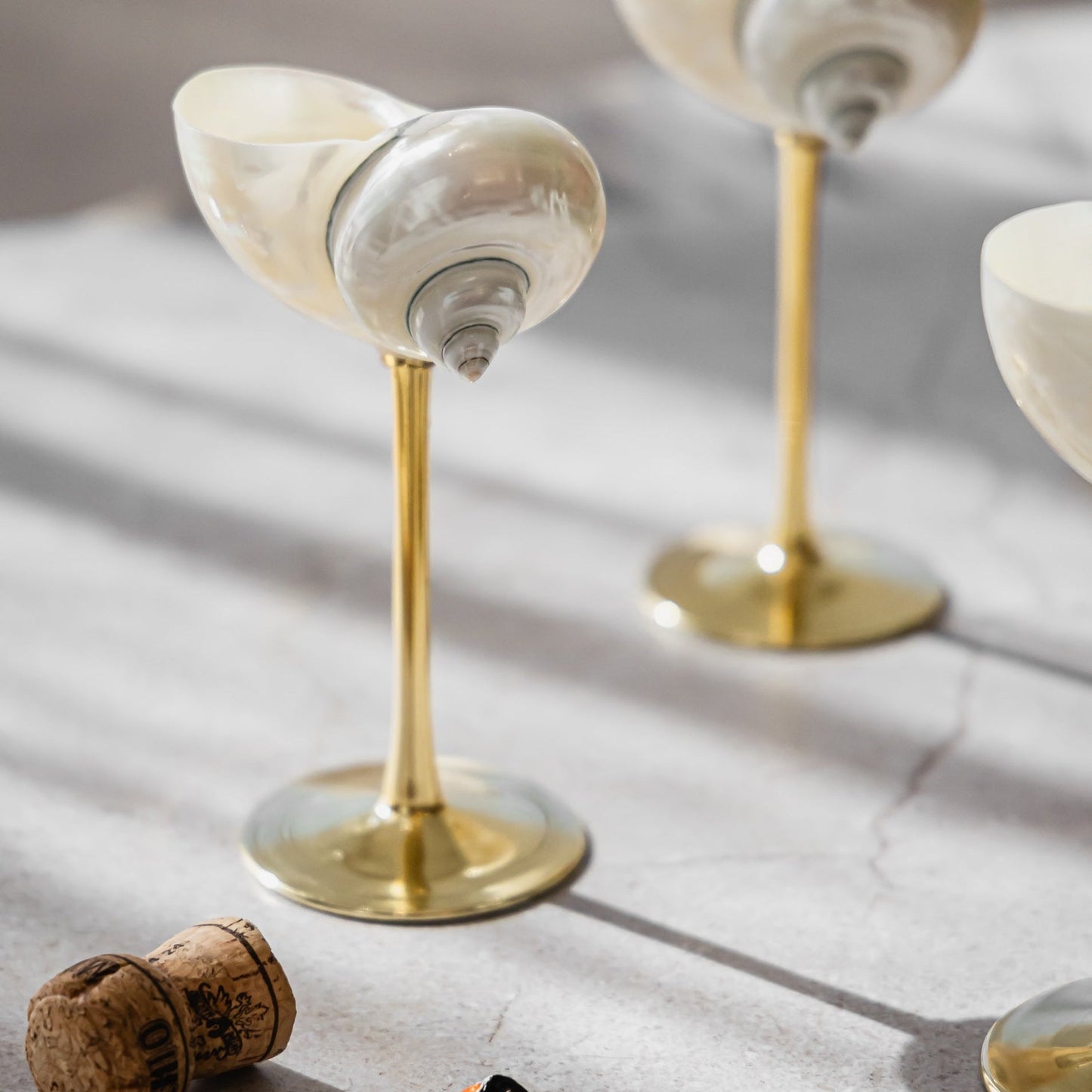 Saltist - Conch Shell Glass Set