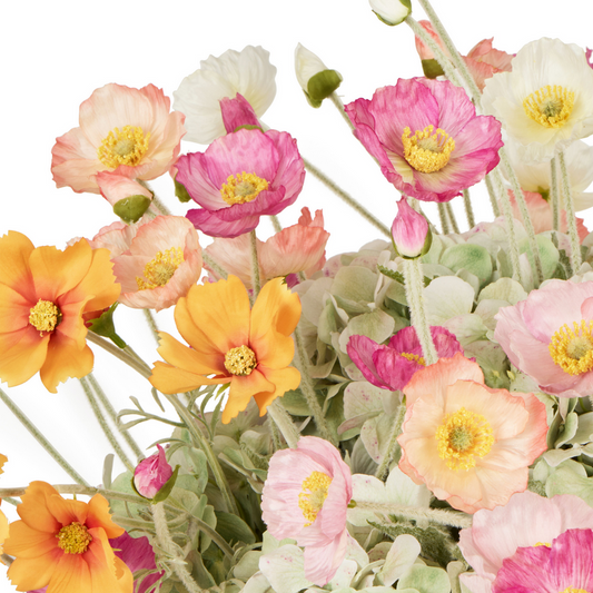 Rogue - Poppy Hydrangea Mix