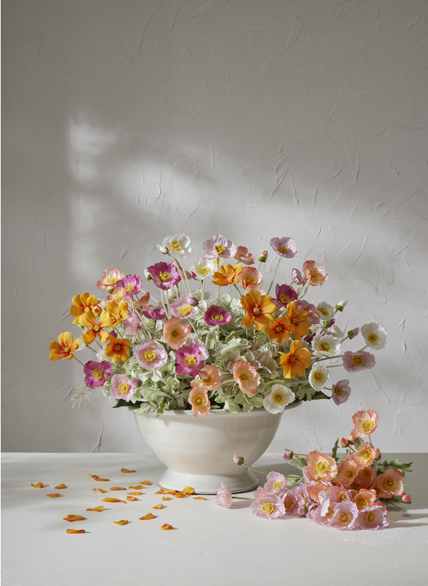 Rogue - Poppy Hydrangea Mix