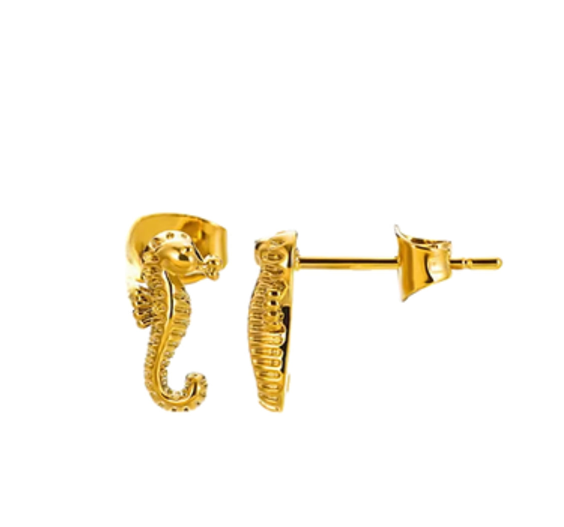Sea Soul - Seahorse Studs - Gold Earrings