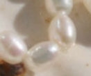 Sea Soul - Freshwater Pearl Ring