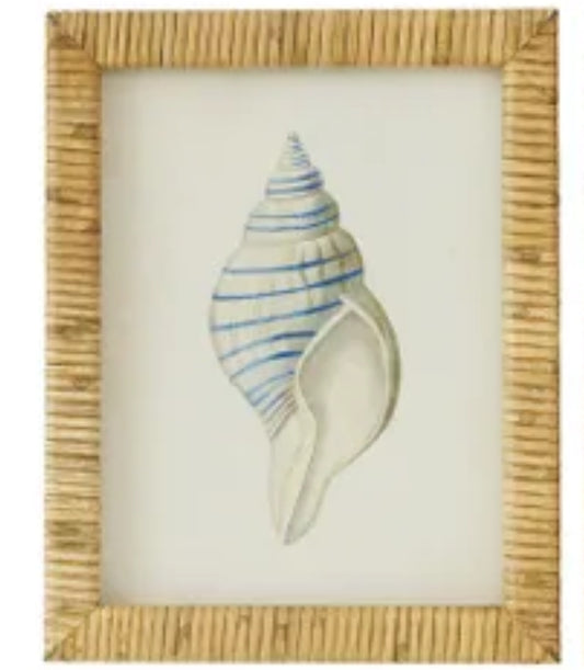 CTC - Heron Shell Framed Glass Print Series