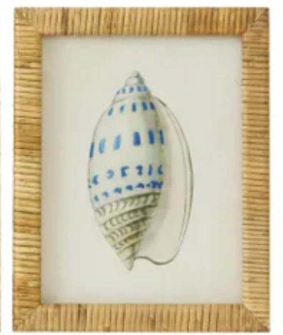 CTC - Heron Shell Framed Glass Print Series