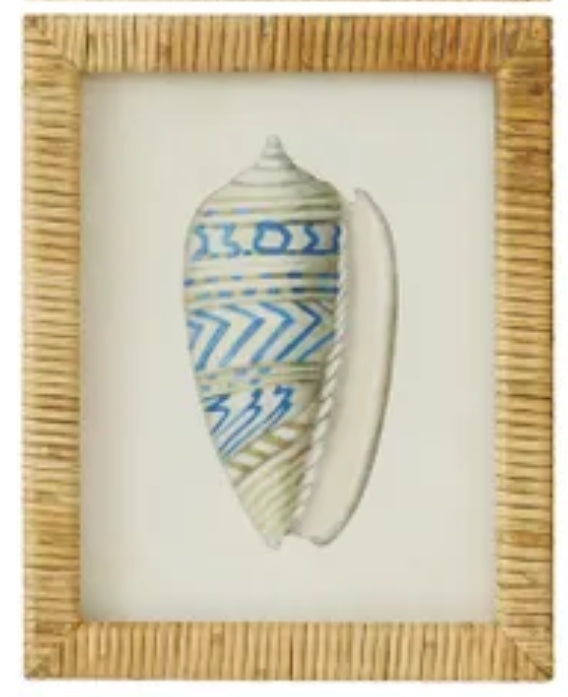 CTC - Heron Shell Framed Glass Print Series